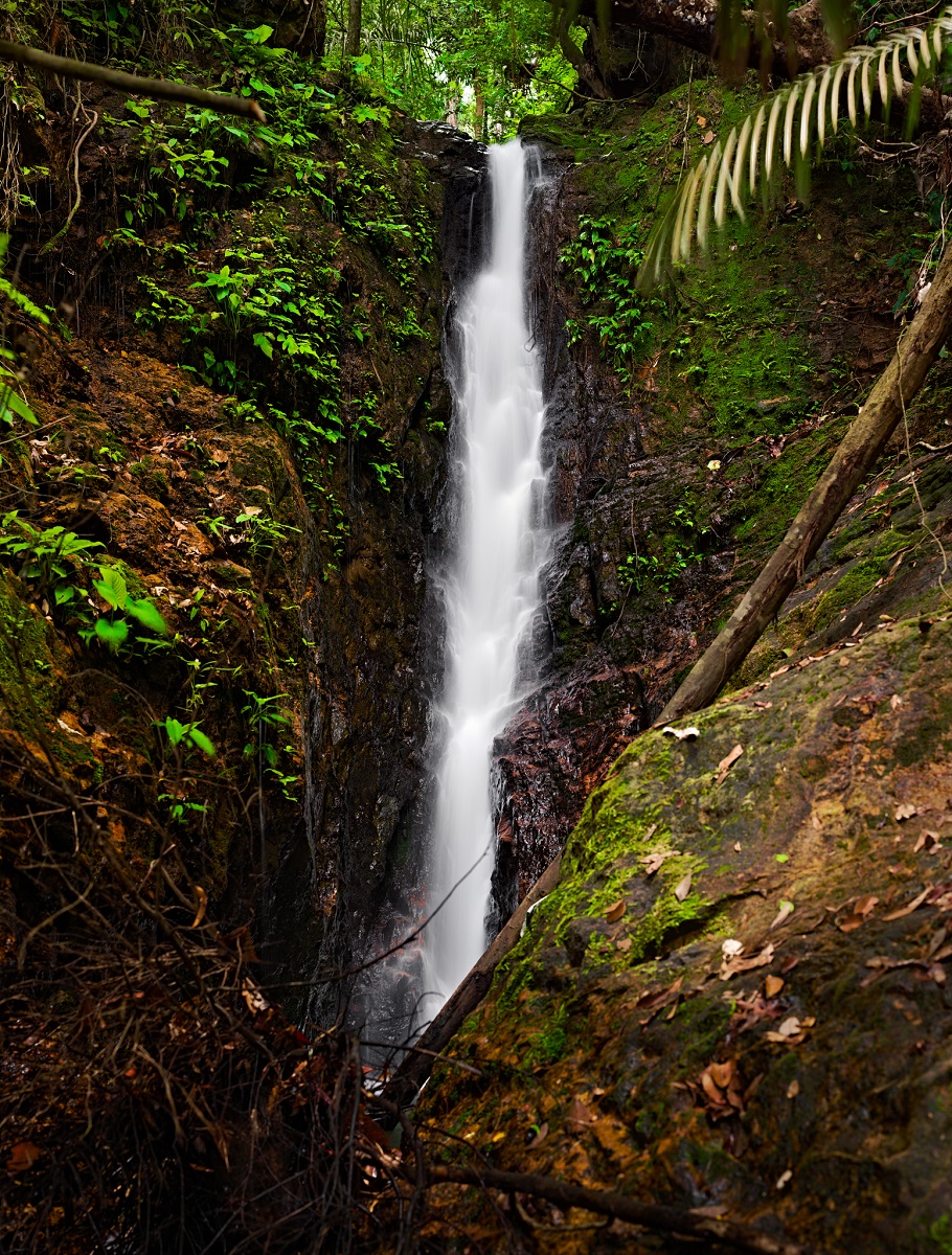 panchorfall5web.jpg
