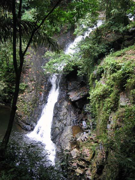 bukithijau08.jpg